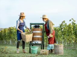 Joel Barjenbruch-Wine World