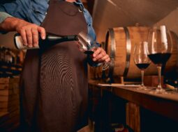 Wine World